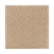 Natural Splendor II in Maple Tint - Carpet by Mohawk Flooring