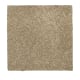 Nature's Appeal I in Urban Taupe - Carpet by Mohawk Flooring