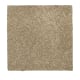 Nature's Appeal I in Urban Taupe - Carpet by Mohawk Flooring