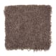 Seaboard in Pine Cone - Carpet by Mohawk Flooring