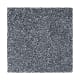 Inviting Charisma in Brushed Metal - Carpet by Mohawk Flooring