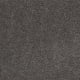 Memorable View in Alden Charcoal - Carpet by Mohawk Flooring