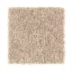 Simple Selection in Nomad - Carpet by Mohawk Flooring