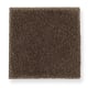 Pleasant Nature in Burnished Brown - Carpet by Mohawk Flooring