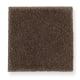 Pleasant Nature in Burnished Brown - Carpet by Mohawk Flooring