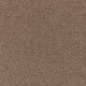 Noteworthy Selection in Melody - Carpet by Mohawk Flooring