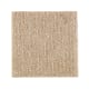 Natural Artistry in Hearth Beige - Carpet by Mohawk Flooring