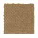 Unification in Aged Brass - Carpet by Mohawk Flooring