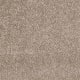 Easy Living I in Cafe Au Lait - Carpet by Engineered Floors