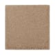Organic Beauty I in Spiced Tea - Carpet by Mohawk Flooring