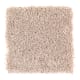 Waterview in Stone Sculpture - Carpet by Mohawk Flooring