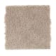Solo in Mushroom - Carpet by Mohawk Flooring
