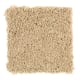 Trimaran in Balsa - Carpet by Mohawk Flooring