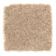 Nearby Beauty in Jute - Carpet by Mohawk Flooring