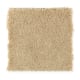 Solo in Sunshine - Carpet by Mohawk Flooring