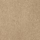Soft Eloquence in Breathless - Carpet by Mohawk Flooring