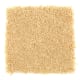 Smart Color in Pineapple - Carpet by Mohawk Flooring