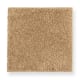 Pleasant Nature in Golden Buff - Carpet by Mohawk Flooring