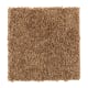 Sassy Arrangement in Tiki Hut - Carpet by Mohawk Flooring