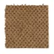 Unification in Copper Tone - Carpet by Mohawk Flooring