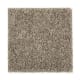 Smart Color in Clover - Carpet by Mohawk Flooring