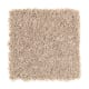 Brilliant Design in Cobweb - Carpet by Mohawk Flooring