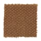 Unification in Cinnamon Stick - Carpet by Mohawk Flooring