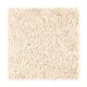 Sassy Arrangement in Paper Moon - Carpet by Mohawk Flooring