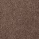 Soft Eloquence in Lyrical - Carpet by Mohawk Flooring