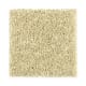 Brilliant Design in Limeade - Carpet by Mohawk Flooring