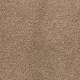 Appealing Glamor in Montego - Carpet by Mohawk Flooring