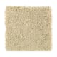 American Legacy in Gardenia - Carpet by Mohawk Flooring