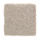 Stylish Story II in Mink - Carpet by Mohawk Flooring