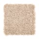 Posh Origins in Jute - Carpet by Mohawk Flooring