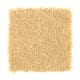 Intelligent Style in Pineapple - Carpet by Mohawk Flooring