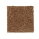 Sunset Key in Chocolate Mousse - Carpet by Mohawk Flooring