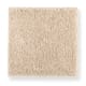 Calming Assurance in Chai Tea - Carpet by Mohawk Flooring