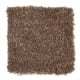 Serene Touch in Sumatra Blend - Carpet by Mohawk Flooring