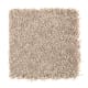 Intelligent Style in Rum Cake - Carpet by Mohawk Flooring