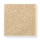 Pleasant Nature in Homespun - Carpet by Mohawk Flooring