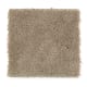 Solo in Safari Tan - Carpet by Mohawk Flooring