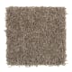 Sea Star in Weathered Dock - Carpet by Mohawk Flooring