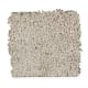 Creative Charm in Birch Bark - Carpet by Mohawk Flooring