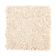 Intelligent Style in Paper Moon - Carpet by Mohawk Flooring