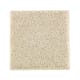 Nature's Appeal I in Soft Linen - Carpet by Mohawk Flooring