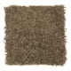 Sassy Arrangement in Sassafras - Carpet by Mohawk Flooring