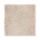 Exquisite Shades in Joyful Prelude - Carpet by Mohawk Flooring