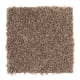 Playful Nature in Taupe Star - Carpet by Mohawk Flooring