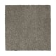 Nature's Appeal I in Stormwatch - Carpet by Mohawk Flooring