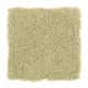 Sea Star in Key Lime - Carpet by Mohawk Flooring